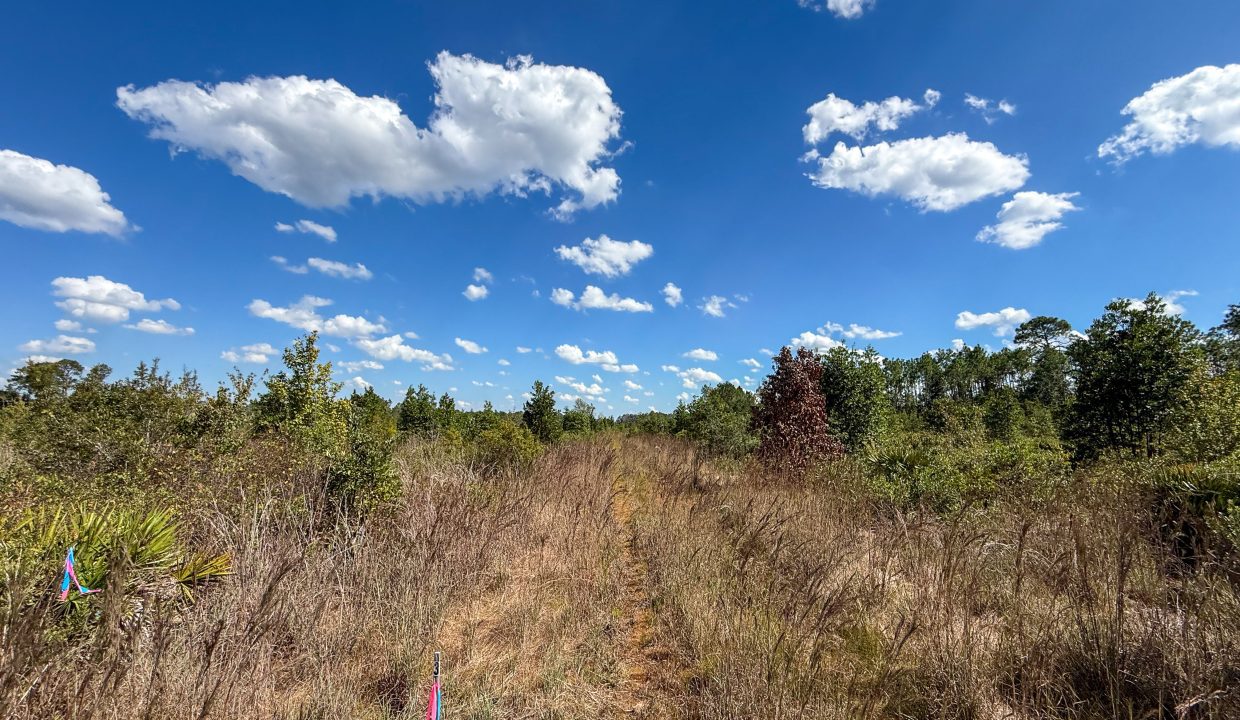 Williams Central 3 Compass South Land Sales-01