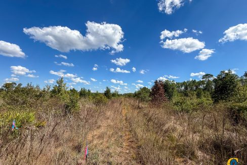 Williams Central 3 Compass South Land Sales-01