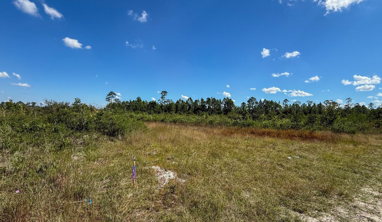 Williams Central 34Compass South Land Sales-03