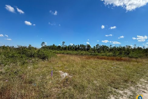 Williams Central 34Compass South Land Sales-03