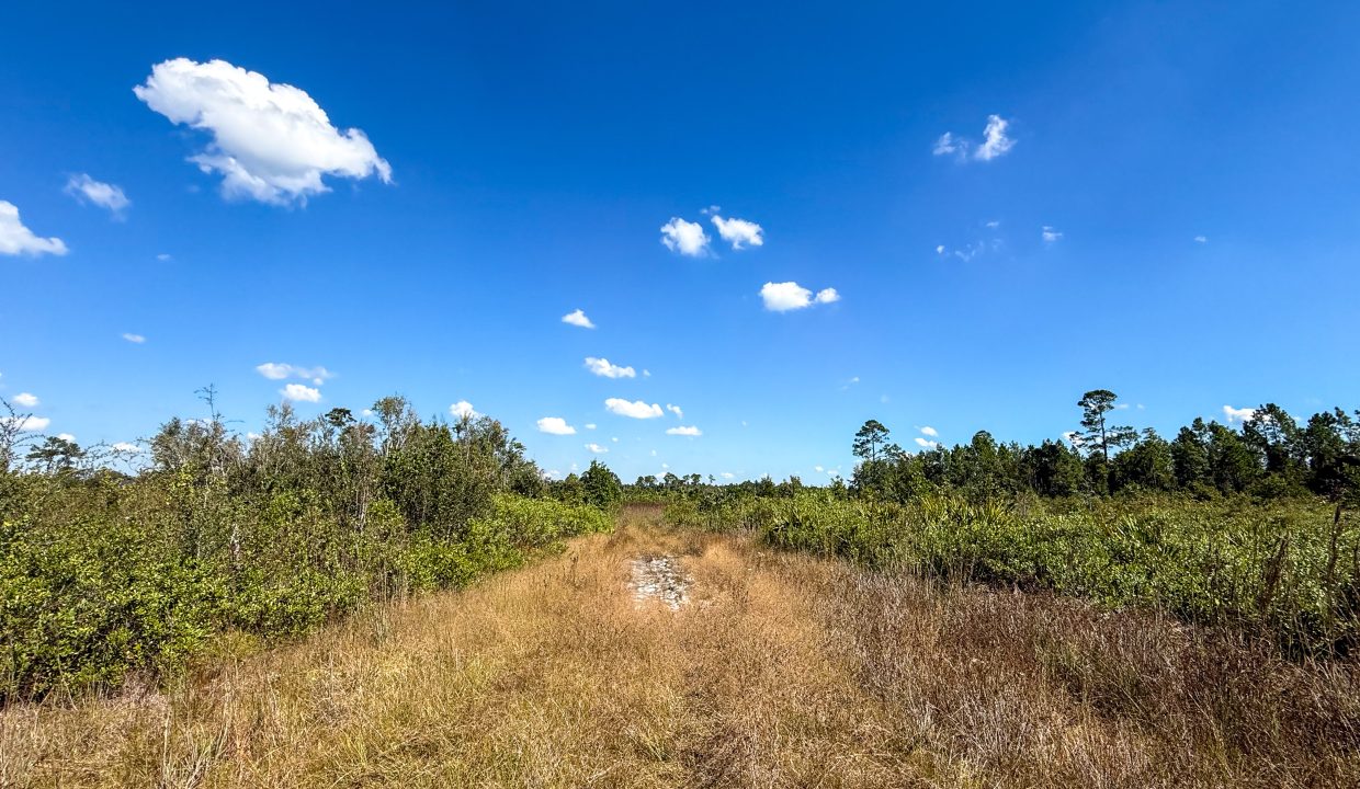 Williams Central 34Compass South Land Sales-04