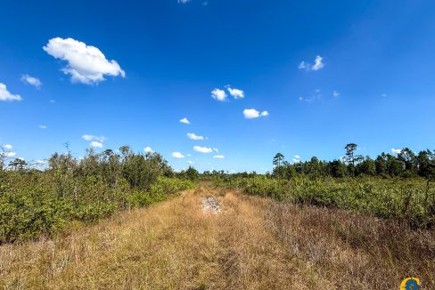 Williams Central 34Compass South Land Sales-04