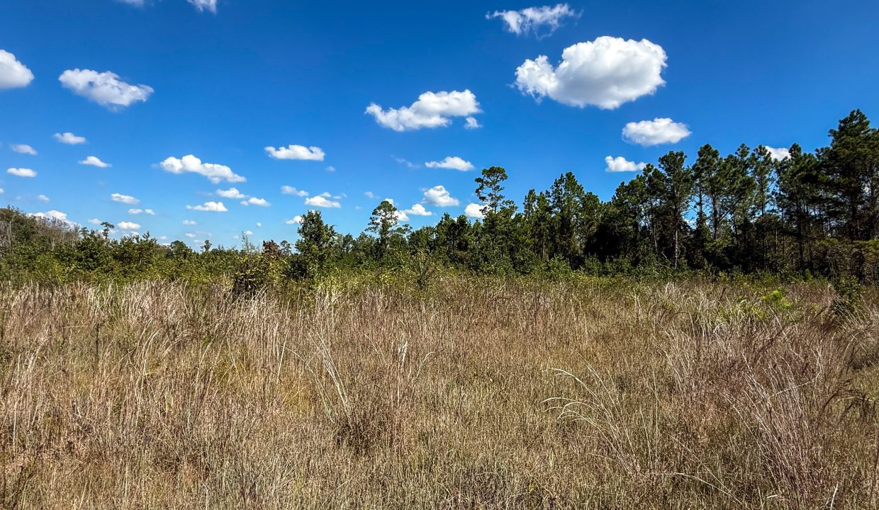 Williams Central 34Compass South Land Sales-06