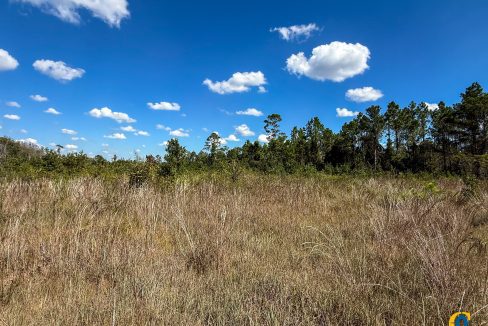 Williams Central 34Compass South Land Sales-06