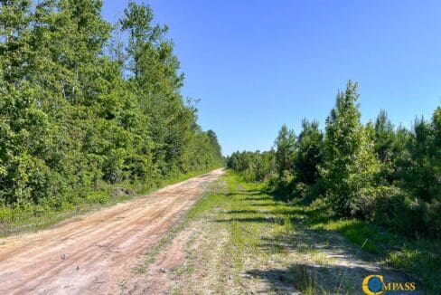 Willoughby Timberlands Tract-03