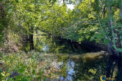 Willoughby Timberlands Tract-05