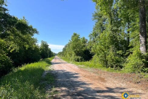 Willoughby Timberlands Tract-06