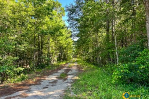 Willoughby Timberlands Tract-08