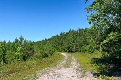 Willoughby Timberlands Tract-09