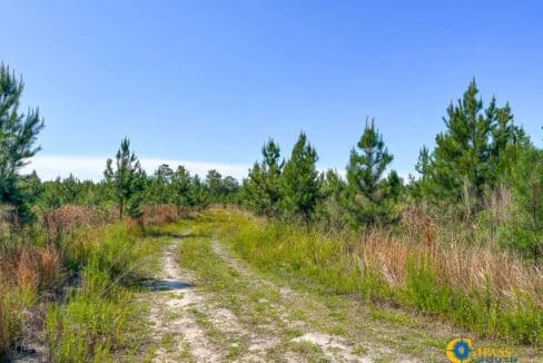 Willoughby Timberlands Tract-11