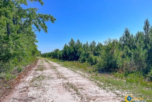 Willoughby Timberlands Tract-12