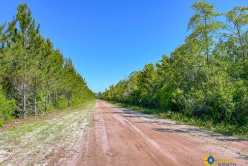 Willoughby Timberlands Tract-13