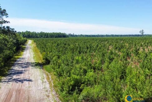 Willoughby Timberlands Tract-16