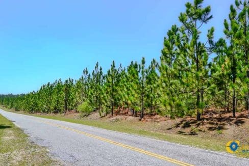 Buffalo Creek North South Carolina-04