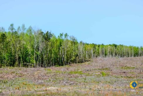 Buffalo Creek South South Carolina-03