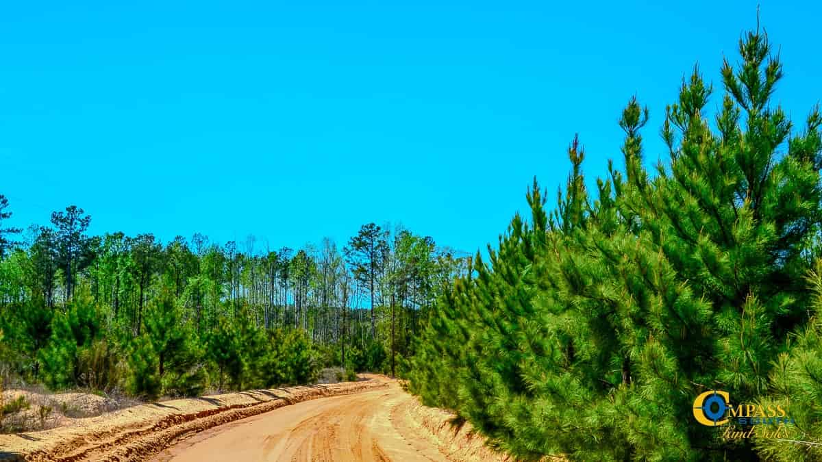 South Carolina Land for Sale