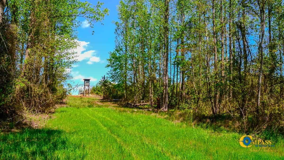 South Carolina Land for Sale