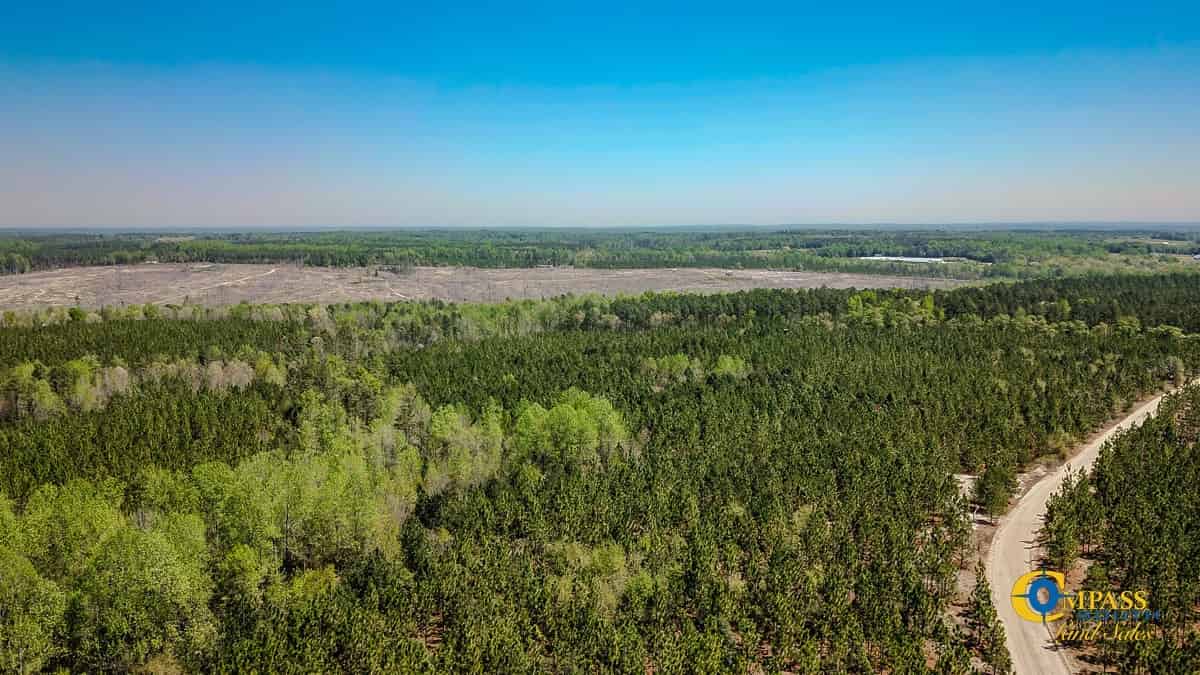 Land for Sale in South Carolina