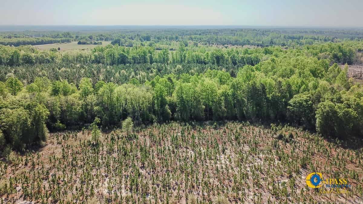 Land for Sale in SC