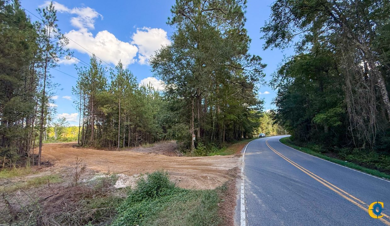 Peurifoy Road Compass South Land Sales South Carolina-02