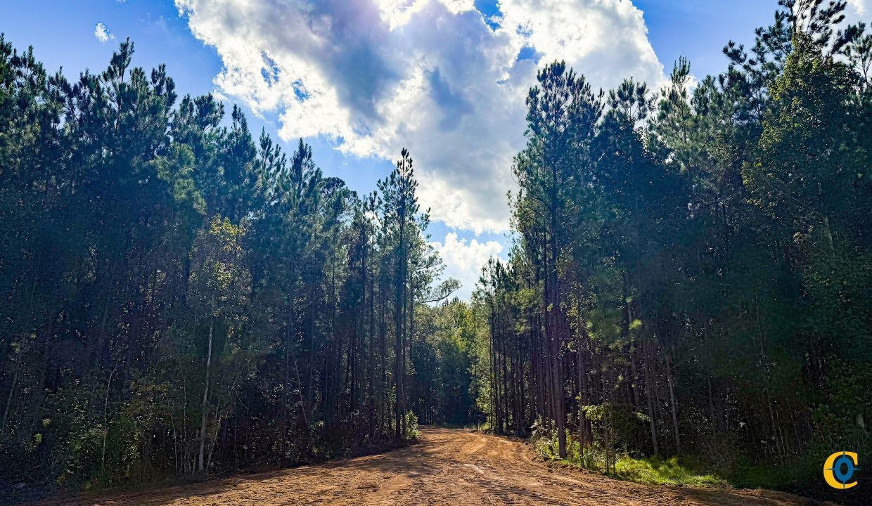Peurifoy Road Compass South Land Sales South Carolina-03