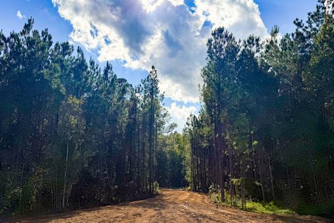 Peurifoy Road Compass South Land Sales South Carolina-03