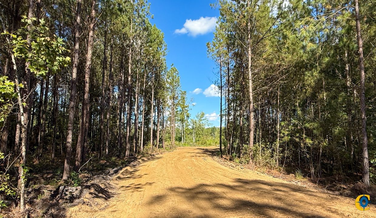 Peurifoy Road Compass South Land Sales South Carolina-04