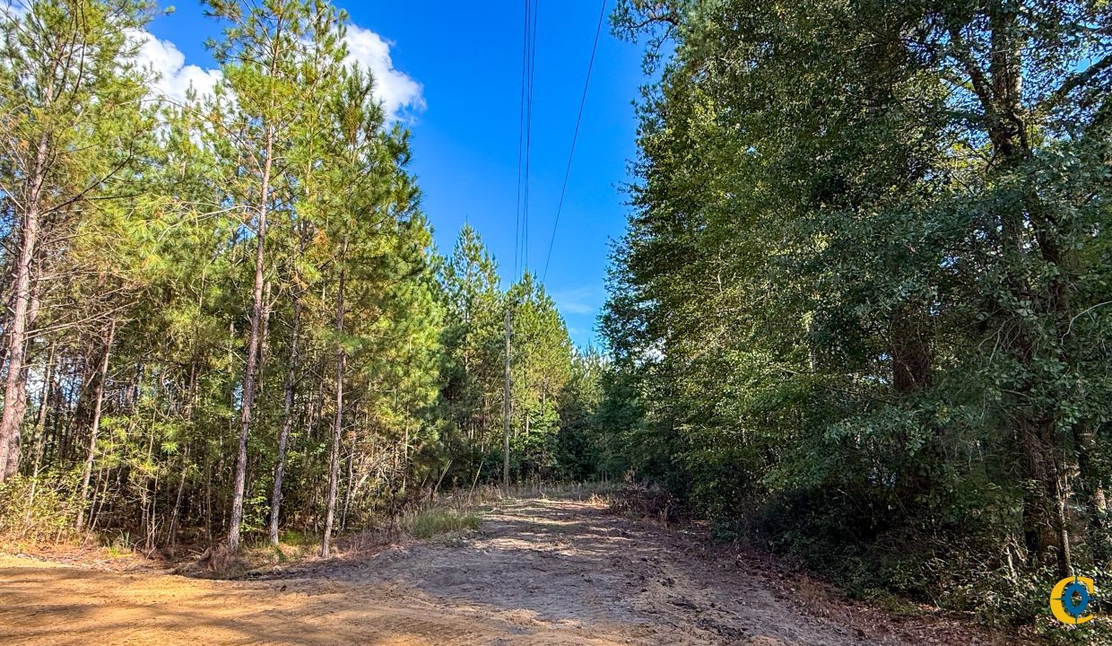 Peurifoy Road Compass South Land Sales South Carolina-06