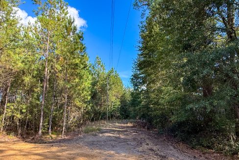 Peurifoy Road Compass South Land Sales South Carolina-06