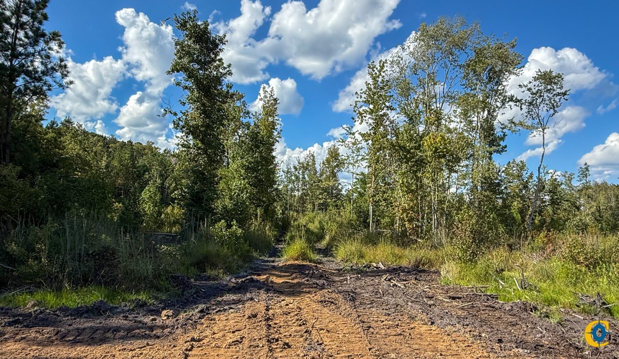 Peurifoy Road Compass South Land Sales South Carolina-07