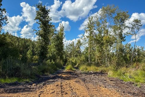 Peurifoy Road Compass South Land Sales South Carolina-07