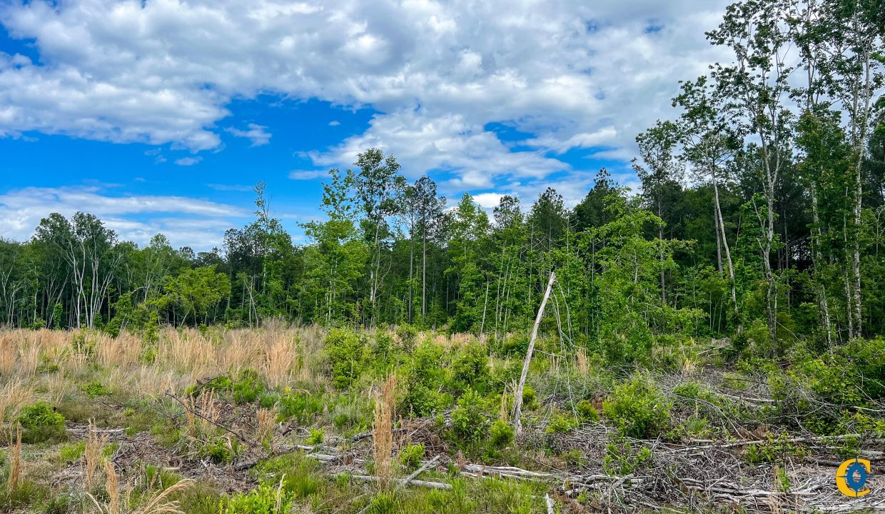 Peurifoy Road Compass South Land Sales South Carolina-11