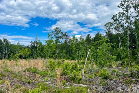 Peurifoy Road Compass South Land Sales South Carolina-11