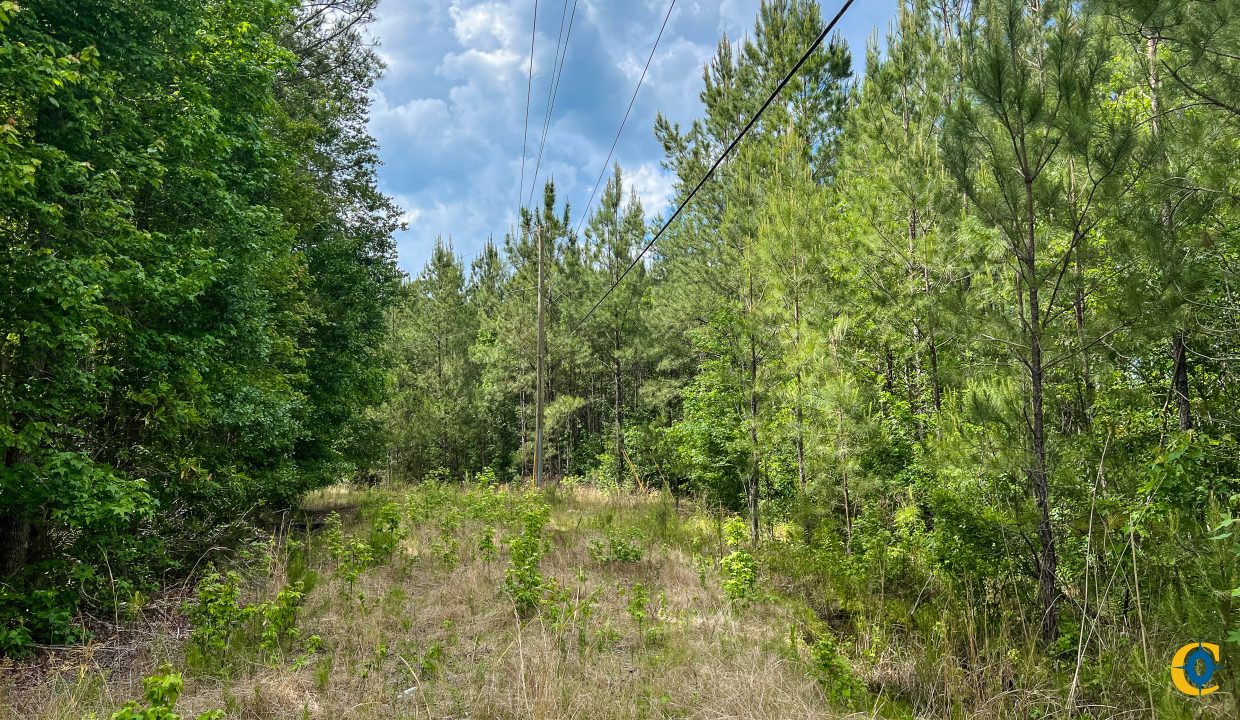 Peurifoy Road Compass South Land Sales South Carolina-13