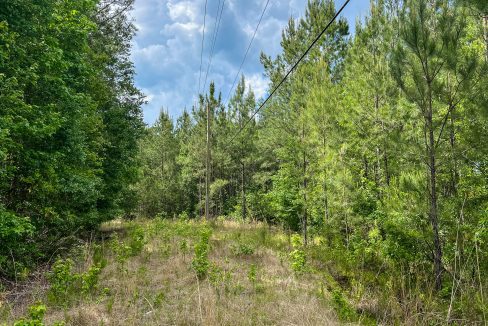 Peurifoy Road Compass South Land Sales South Carolina-13