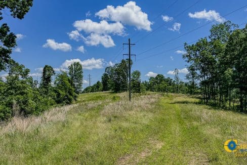 Waverly Ridge East Tennessee-09