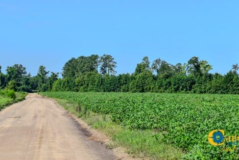 Grist Mill Farm-08