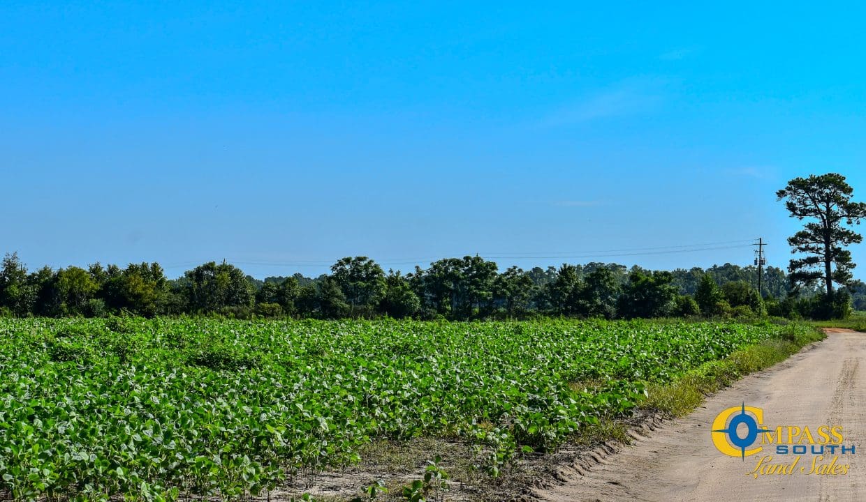 Grist Mill Farm-14