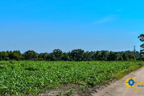 Grist Mill Farm-14