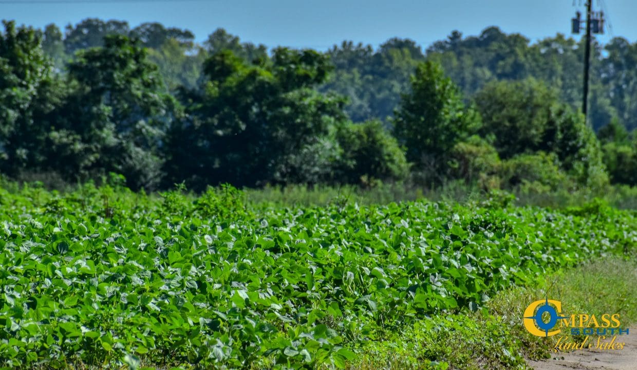 Grist Mill Farm-15