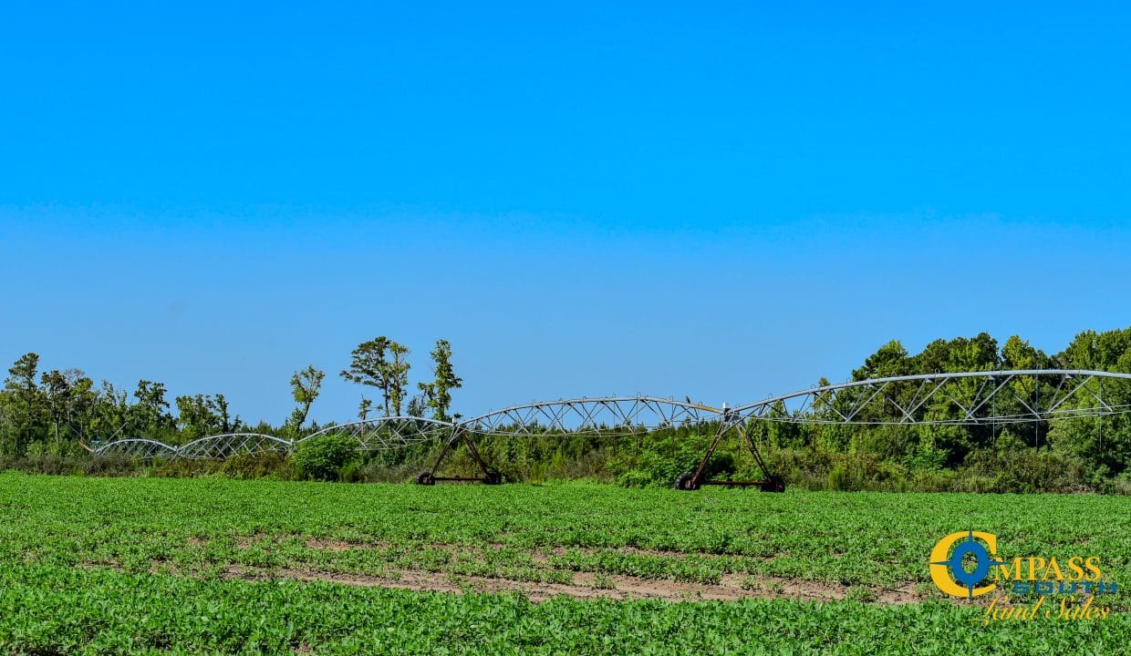 Grist Mill Farm-31