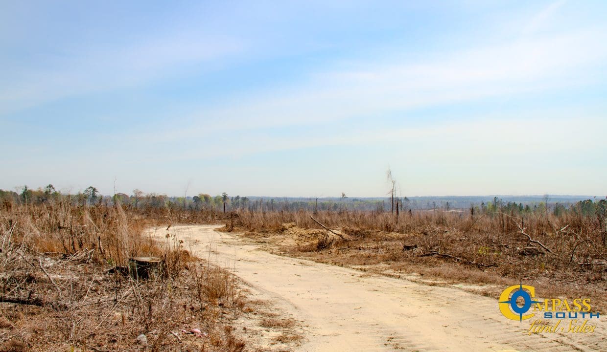 Gumm Creek North Georgia-6