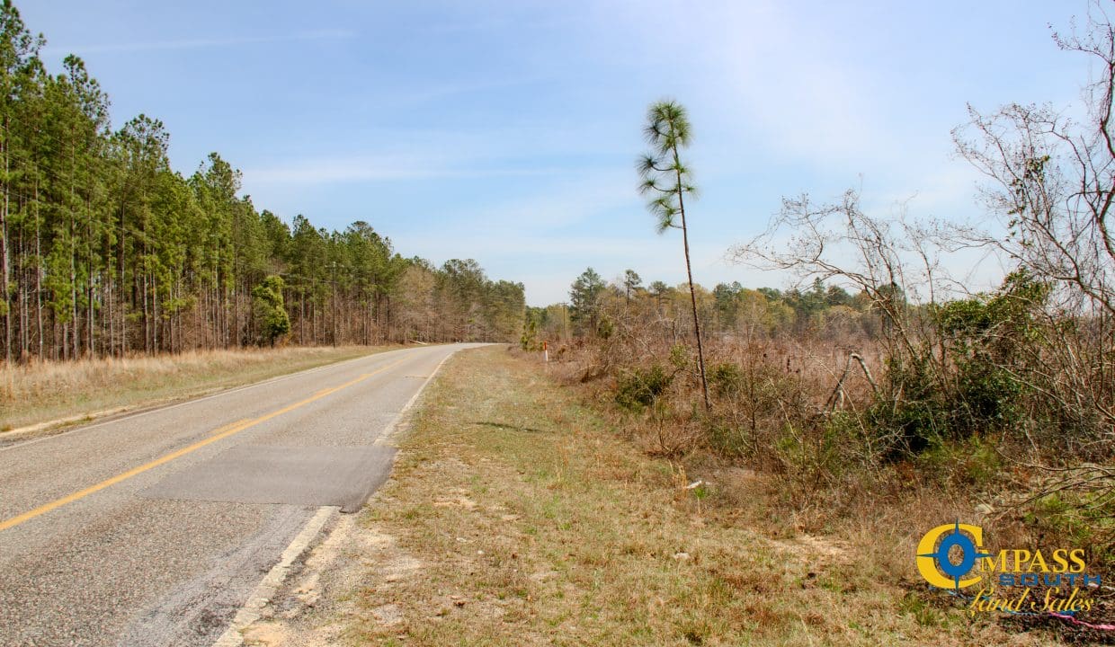 Gumm Creek North Georgia-8