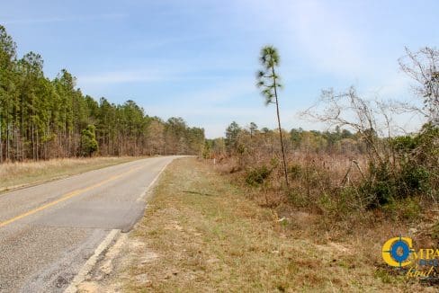 Gumm Creek North Georgia-8