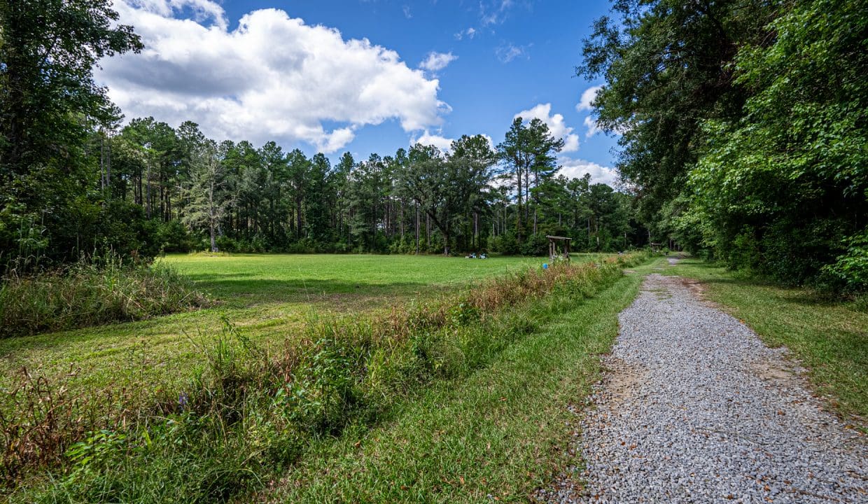 Bluefield Plantation-14