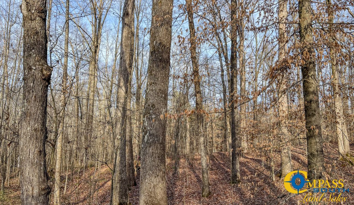 Hood Tract Tennessee Land for Sale-3