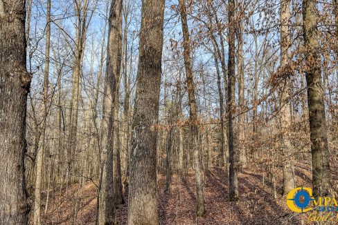 Hood Tract Tennessee Land for Sale-3