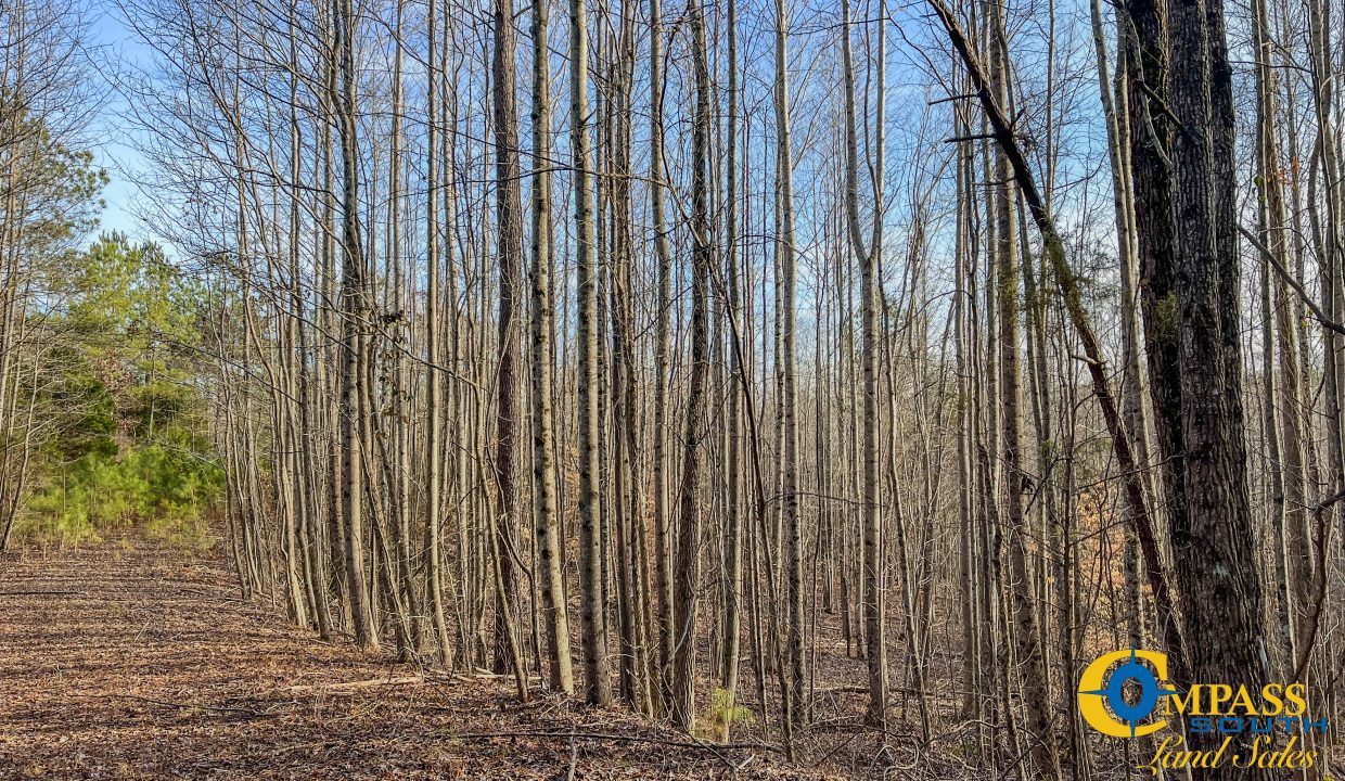 Hood Tract Tennessee Land for Sale-4