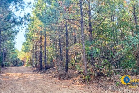 Hurricane Hwy 232 South Tract 2 Tennessee-19