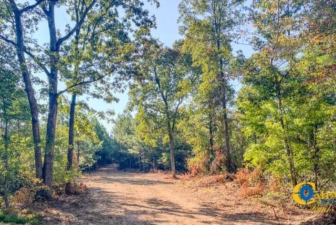 Hurricane Hwy 232 South Tract 2 Tennessee-23